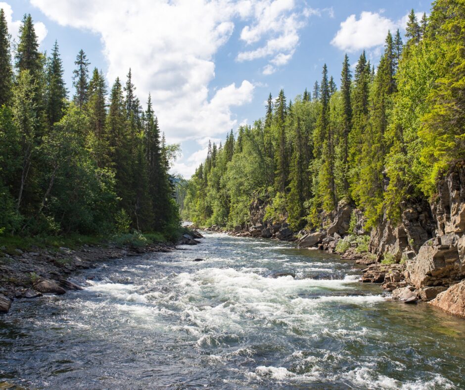 The Caregiver River