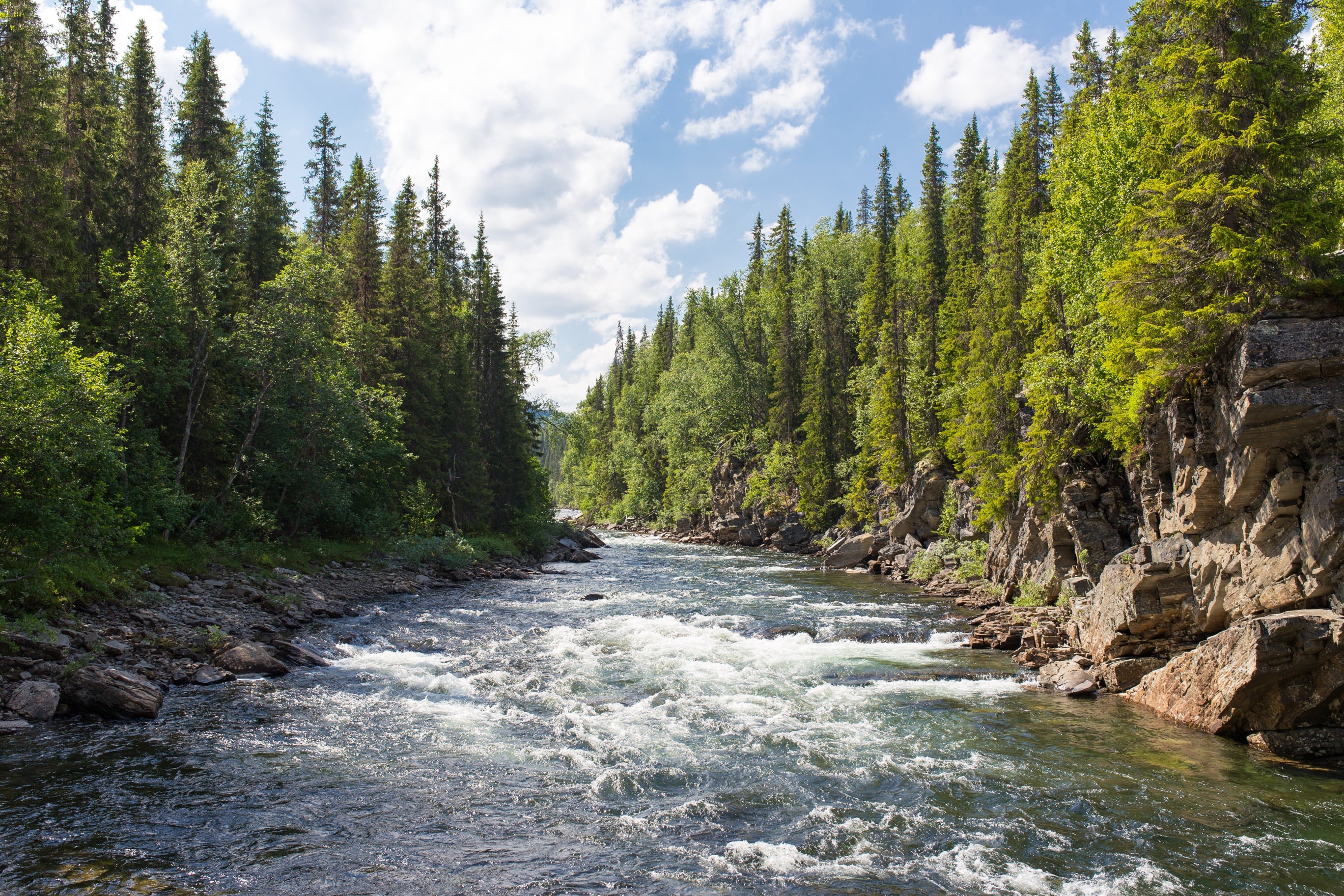 The Caregiver River